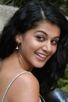 Tapsee Saree Photos